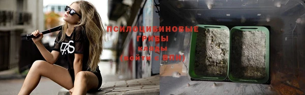 прущие крисы Новодвинск