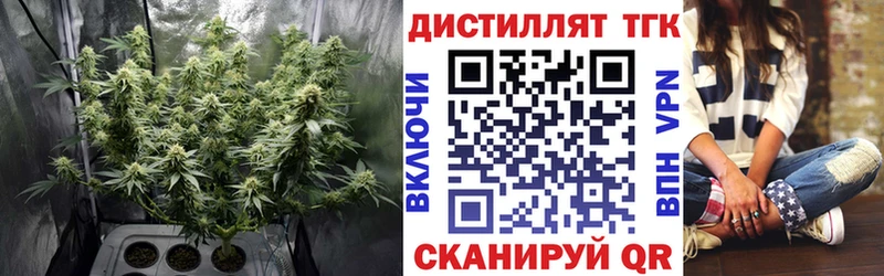 где купить наркотик  Шумиха  Дистиллят ТГК Wax 