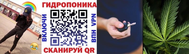 Бошки Шишки конопля  Шумиха 